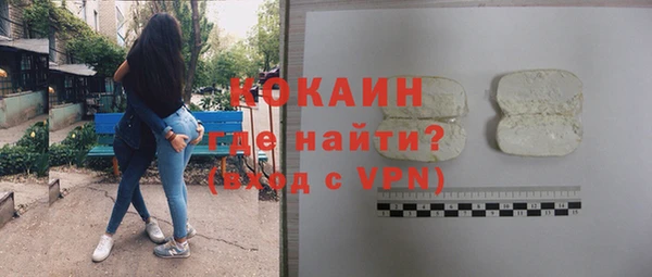 стаф Арсеньев