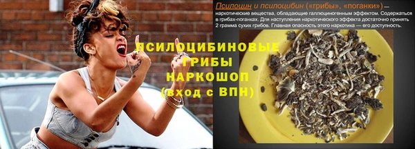 стаф Арсеньев