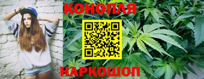 прущие грибы Камышлов