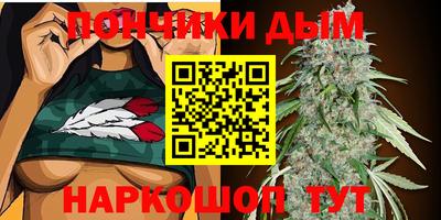 прущие грибы Камышлов
