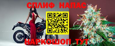 прущие грибы Камышлов