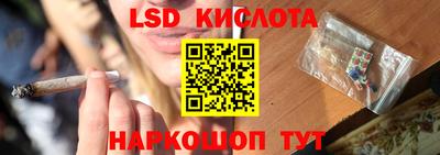 прущие грибы Камышлов
