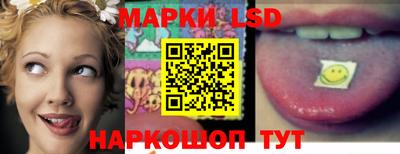 гидра Кандалакша