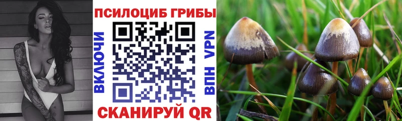 гидра зеркало  Пушкино  Псилоцибиновые грибы Magic Shrooms  закладки 